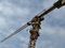 Lifting Hoist Crane Xgt7022-12s Tower Crane with 70 Meters Jib Length