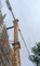 Chinese Refurbished Tower Cranes Zoomlion 7025-12e with Advanced Control System