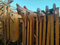 Extraordinary Lifting Zoomlion 6012 Tower Crane for Ports and Logistics