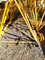 Assembly Easy to Transport Zoomlion Wa7525-16D High-Performance Tower Cranes