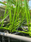 Energy-Efficient Zoomlion R165-10 Tower Crane with 230m Maximum Working Height