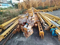 Extraordinary Lifting Zoomlion 6012 Tower Crane for Ports and Logistics