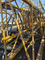 Robust Structure Xgt6013 Tower Crane for Demanding Construction Projects