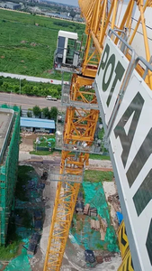 Mobile Hoist Crane Construction Tower Crane with Multiple Safety Protections