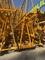 Affordable Zoomlion Zoomlion Wa6516-8b Used Tower Crane for Industrial Facility Construction
