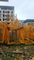 Industrial High-Rise Buildings Zoomlion 6513-81 Heavy Lifting Tower Crane
