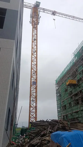 High-Performance Construction Lifting Equipment Zoomlion 6513-81 Tower Crane for Various Projects