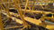 Electric Drive System Second-Hand Tower Crane Zoomlion W7025-12 with Low Energy Consumption