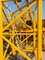 Durable and Long-Lasting Zoomlion W350 Precise Efficiency Mobile Tower Crane