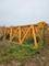 Offshore Engineering Construction Machine Crane Zoomlion T1100-63 for Sale