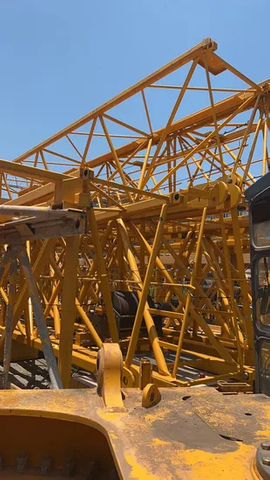 Industrial Lifting Cranezoomlion Wa7525-12 Tower Crane for All-Weather Operation